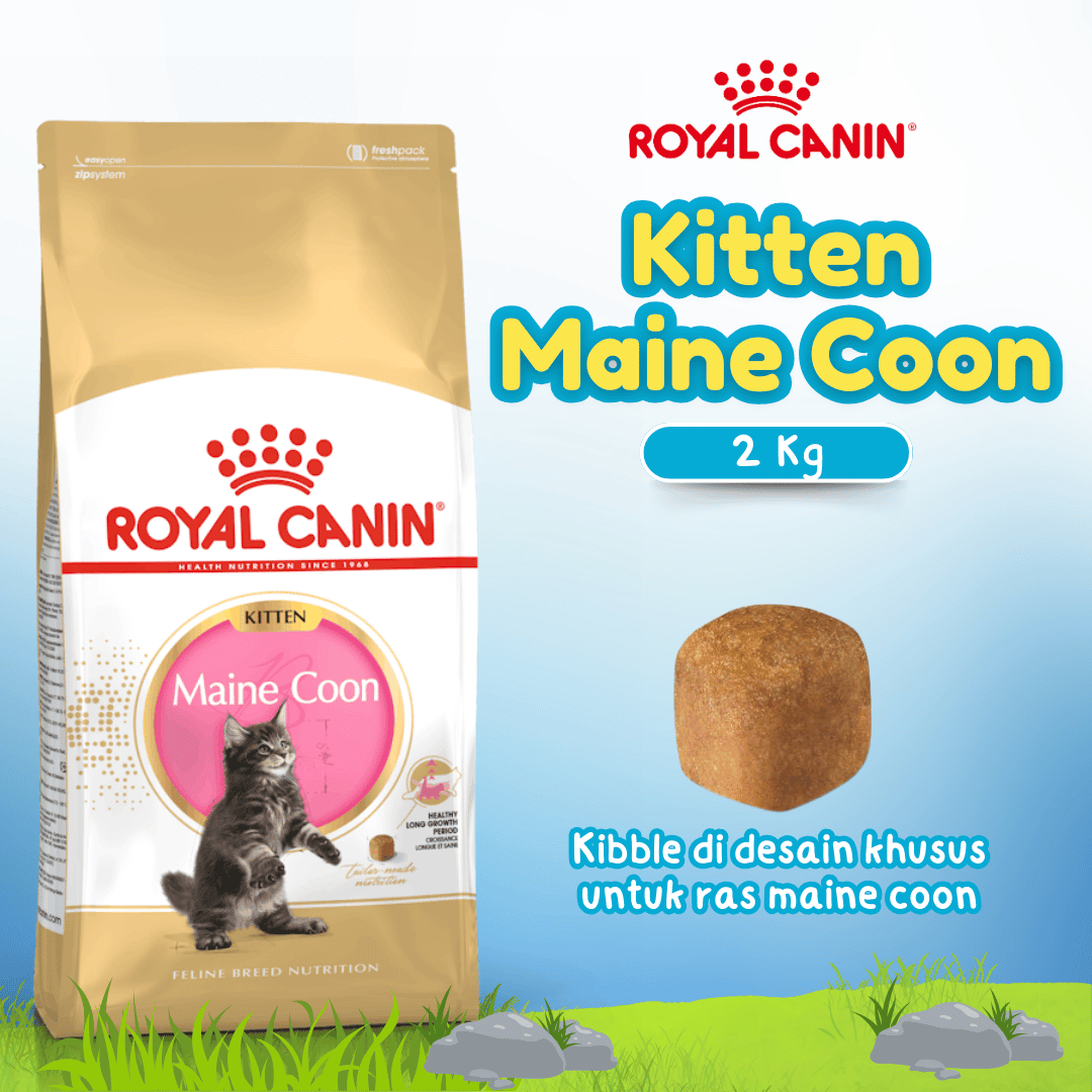 RC KITTEN MAINE COON 2KG FBN (25580200)