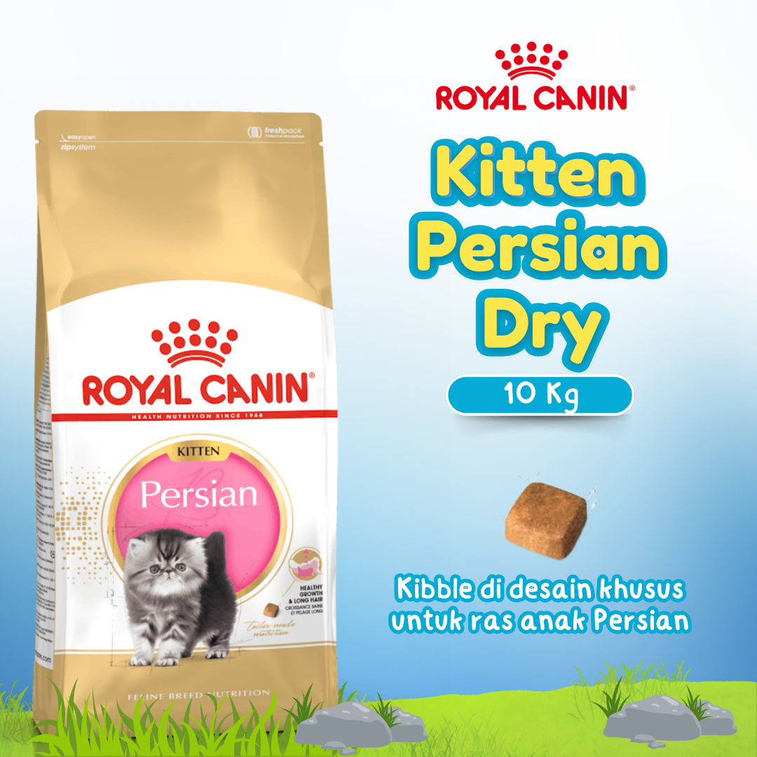 RC 32 KITTEN PERSIAN 10 KG (25541000)