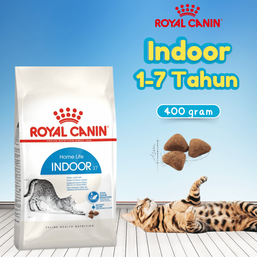 RC INDOOR27 400GR