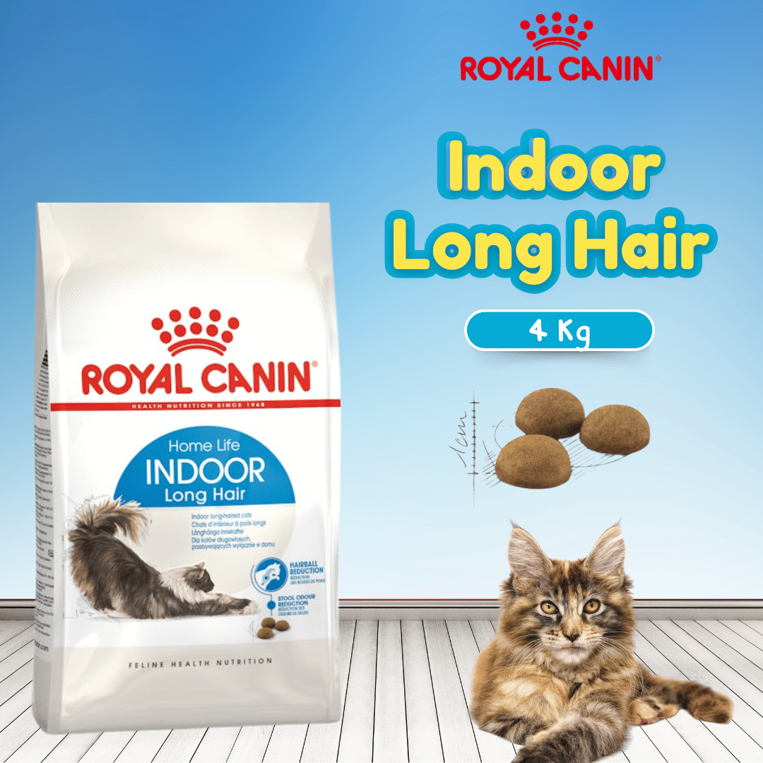RC INDOOR LONGHAIR 4KG