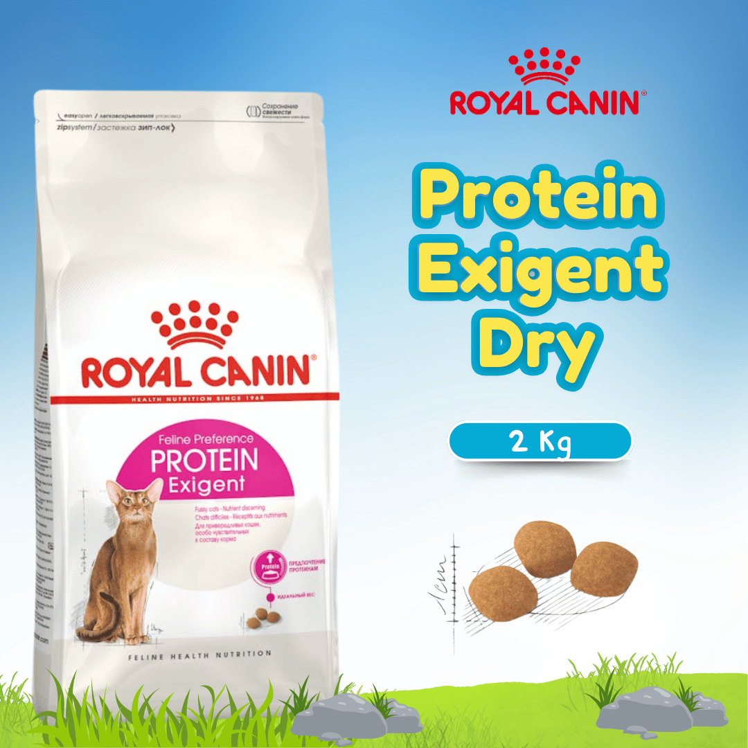 RC EXIGENT PROTEIN 2KG (25420200)