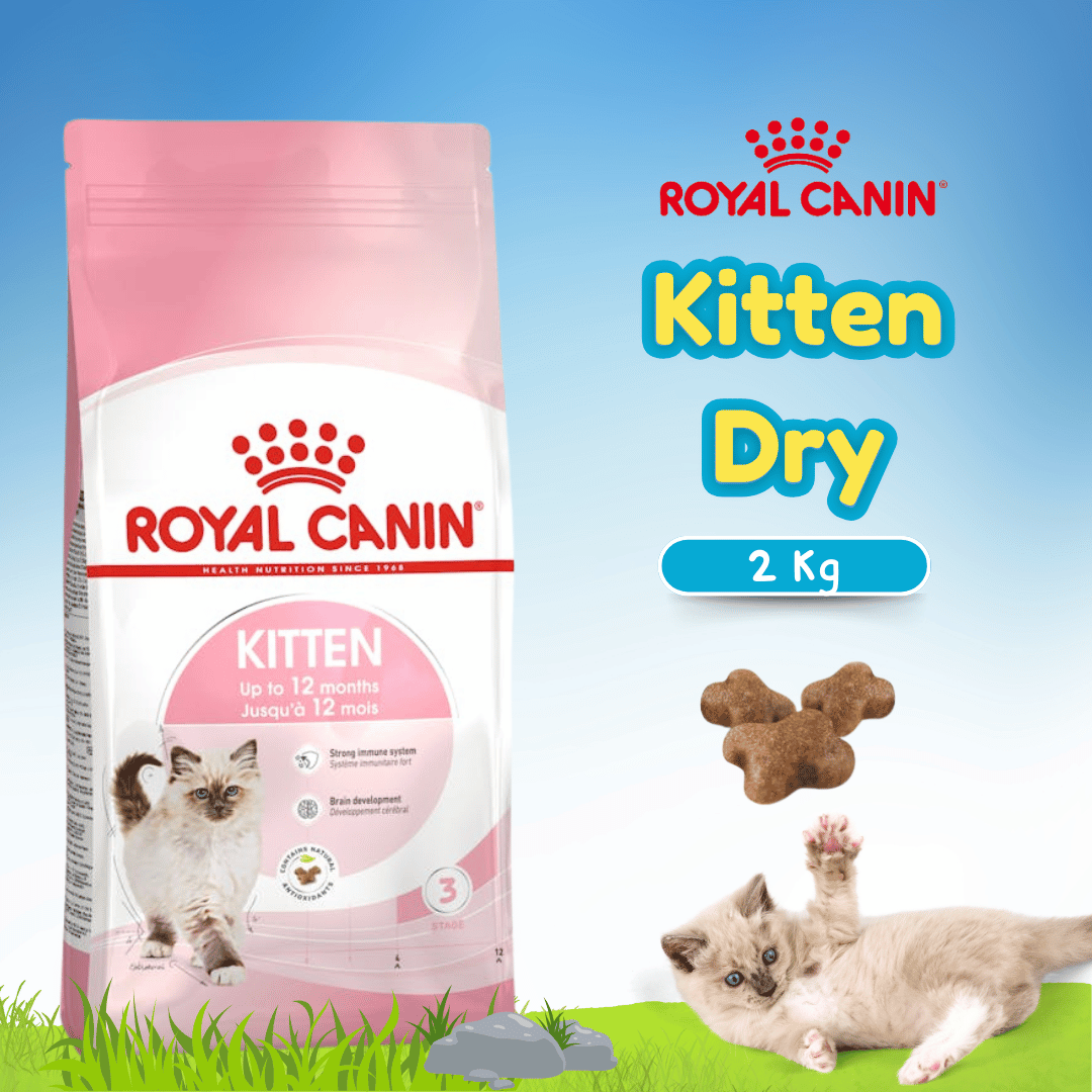 RC 36 KITTEN 2KG FHN (25220200)