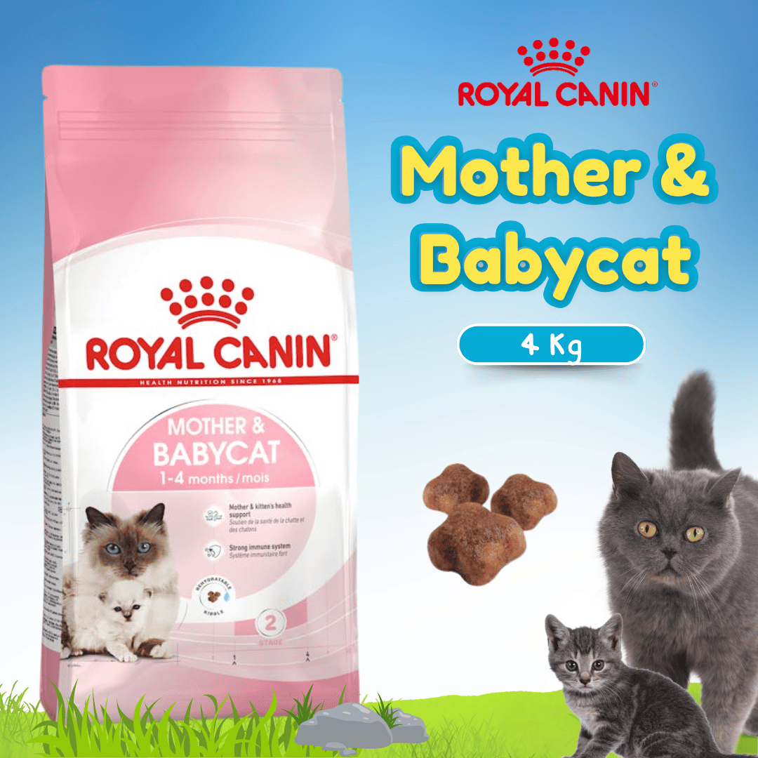 RC 34 BABY CAT 4KG (25440400)