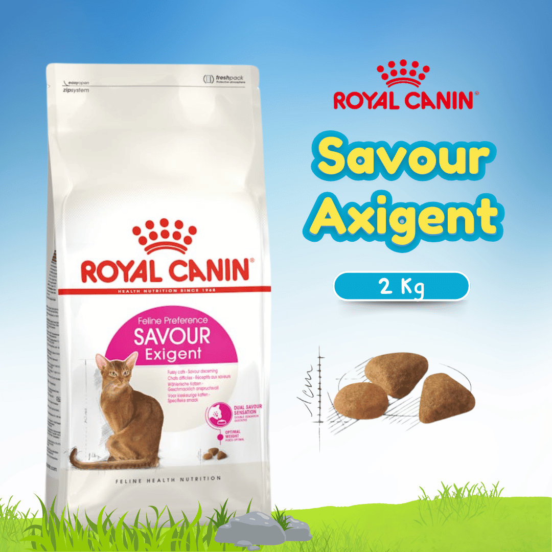 RC EXIGENT SAVOUR 2KG (25310200)