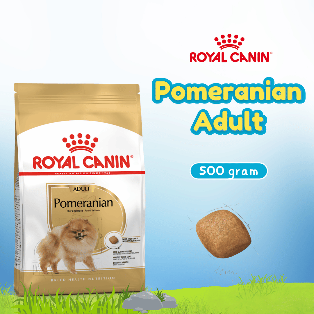 RC POMERANIAN ADULT 500GR