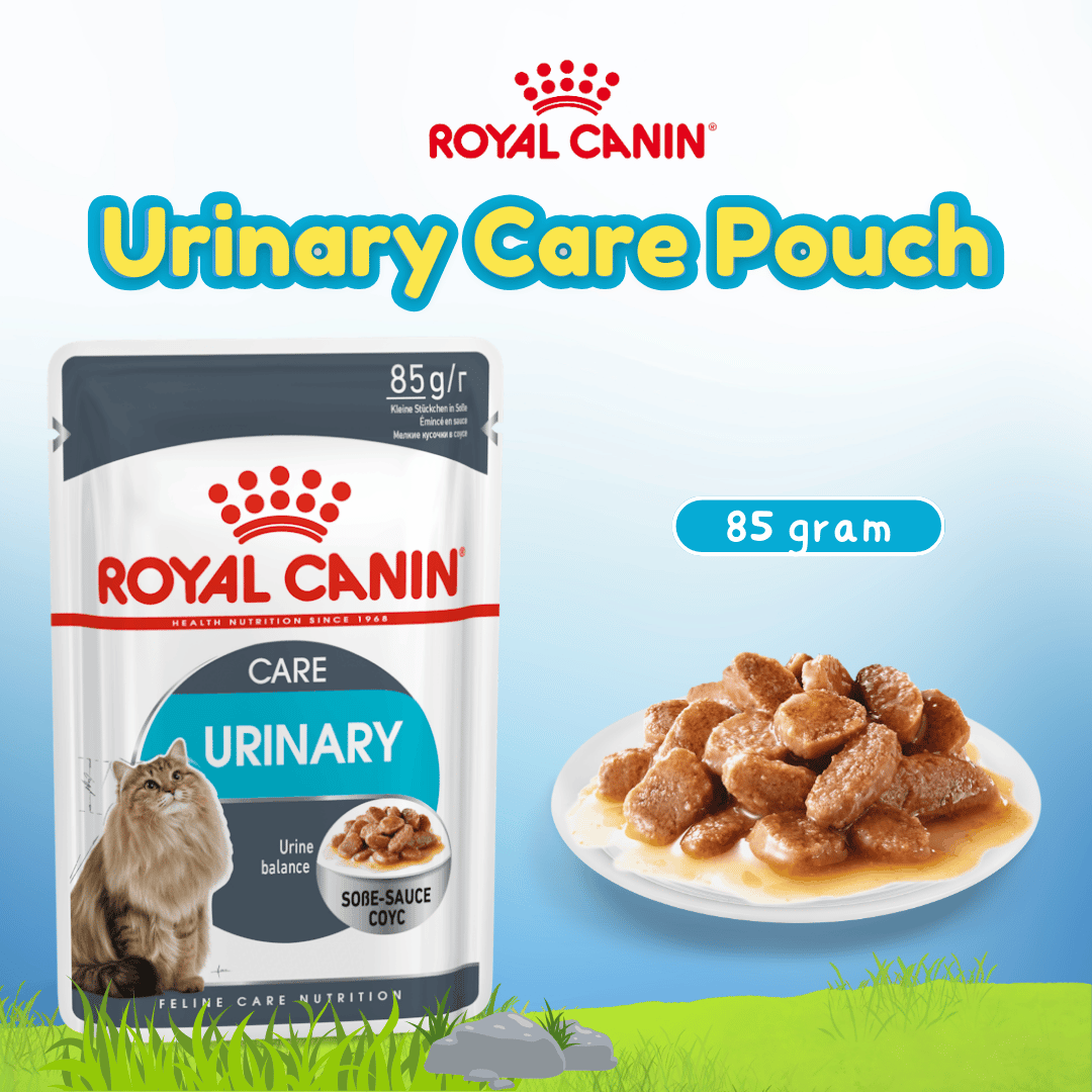 RC POUCH URINARY CARE 85GR